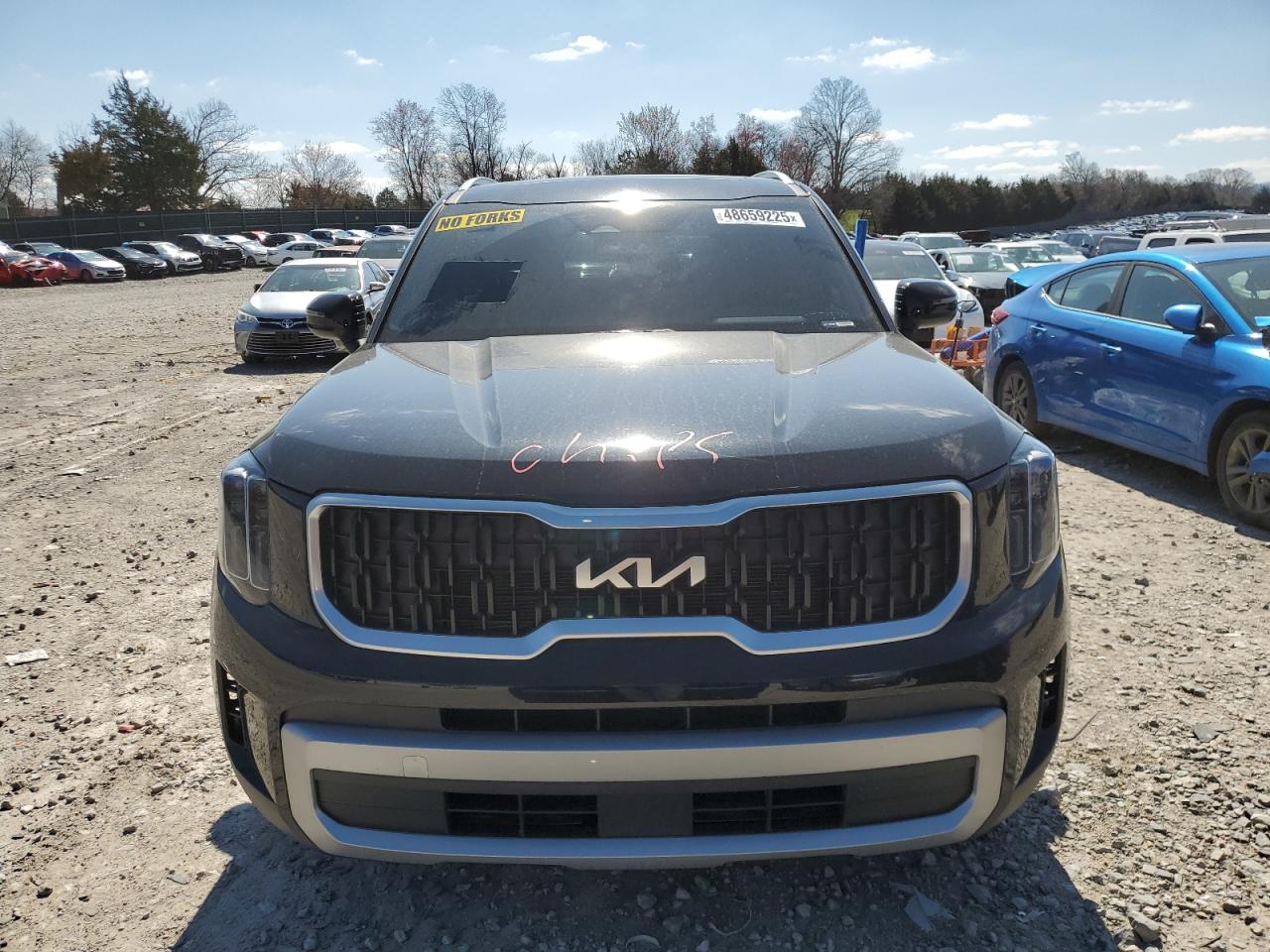 2023 KIA Telluride VIN 5XYP3DGC3PG402399 Copart auction photo, rear end / minor dent/scratches damage thumbnail 5