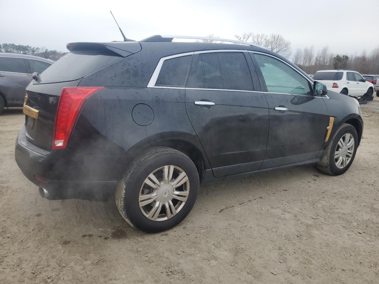 2010 Cadillac SRX VIN 3GYFNAEY4AS516981 Copart auction photo, side damage thumbnail 3
