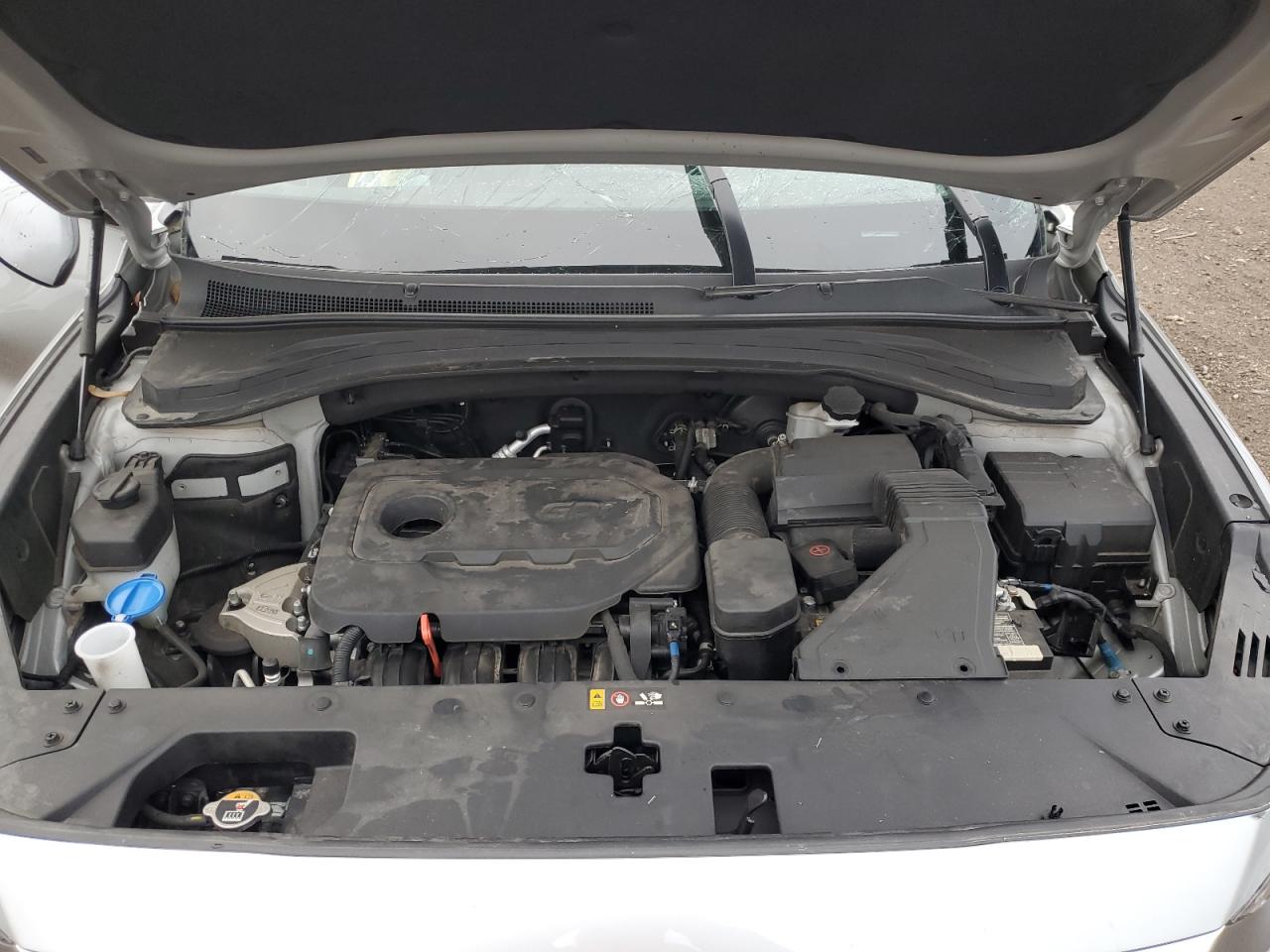 2020 Hyundai Santa Fe VIN 5NMS3CAD5LH205823 Copart auction photo, rollover damage thumbnail 13