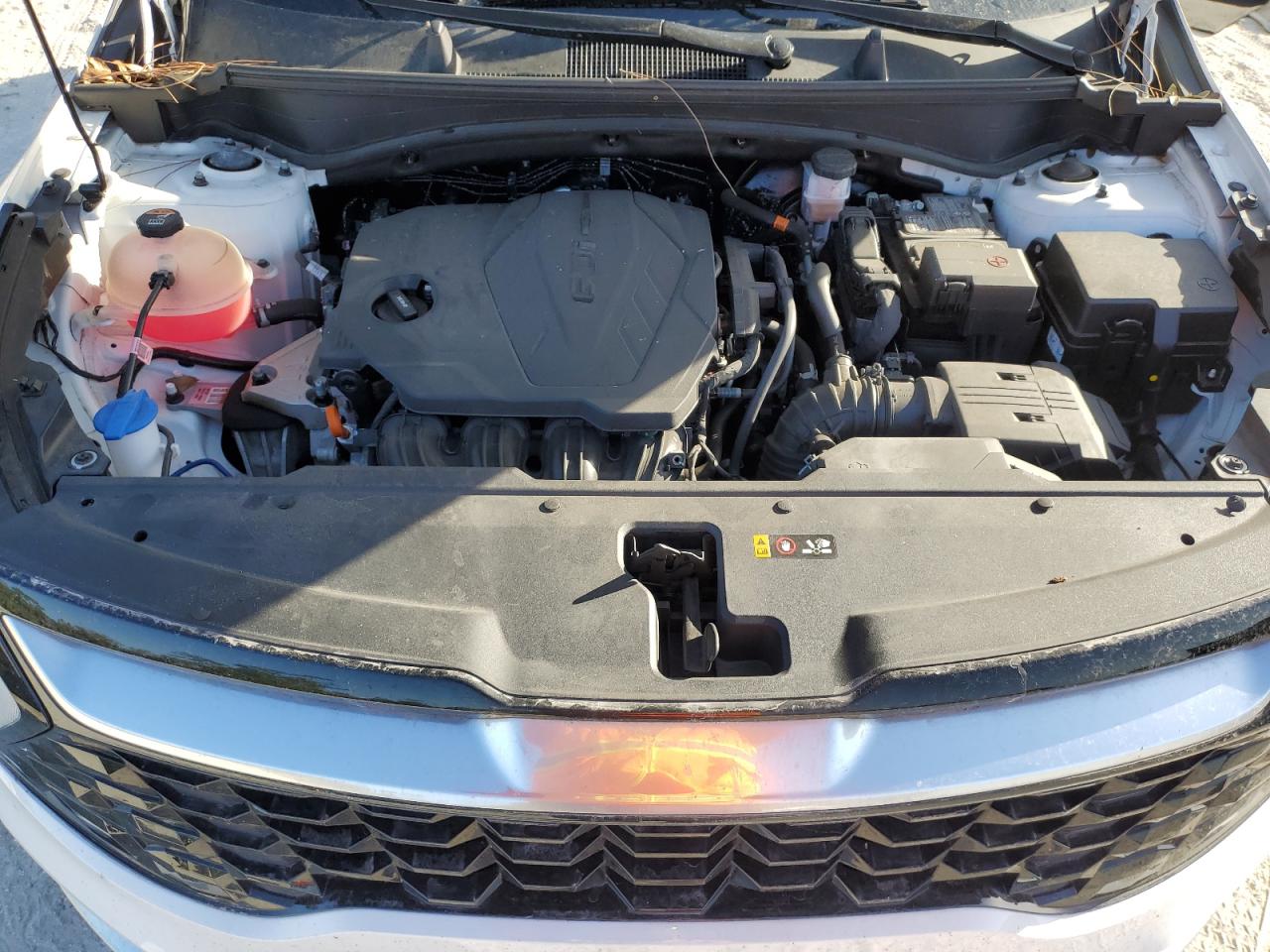 2023 KIA Sportage VIN 5XYK43AF6PG069362 Copart auction photo, rear end / minor dent/scratches damage thumbnail 12