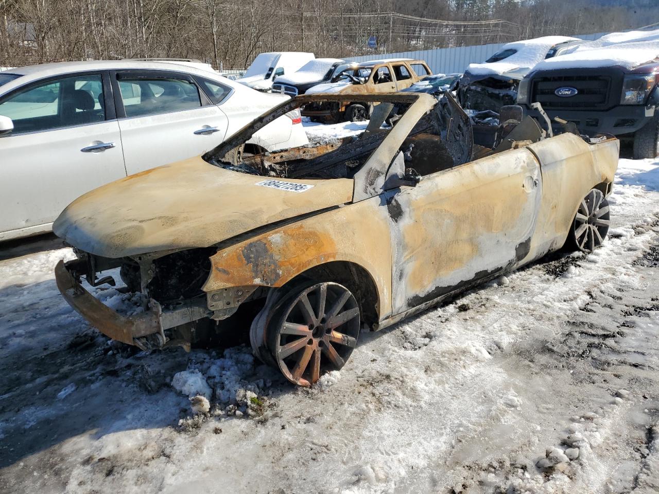 2008 Volkswagen Eos VIN WVWBA71F68V049042 - Copart auction photo