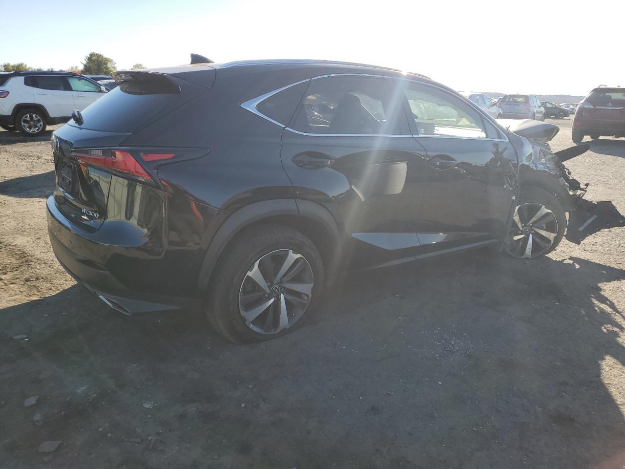 2020 Lexus NX VIN JTJGARDZ4L5012794 Copart auction photo, front end damage thumbnail 3