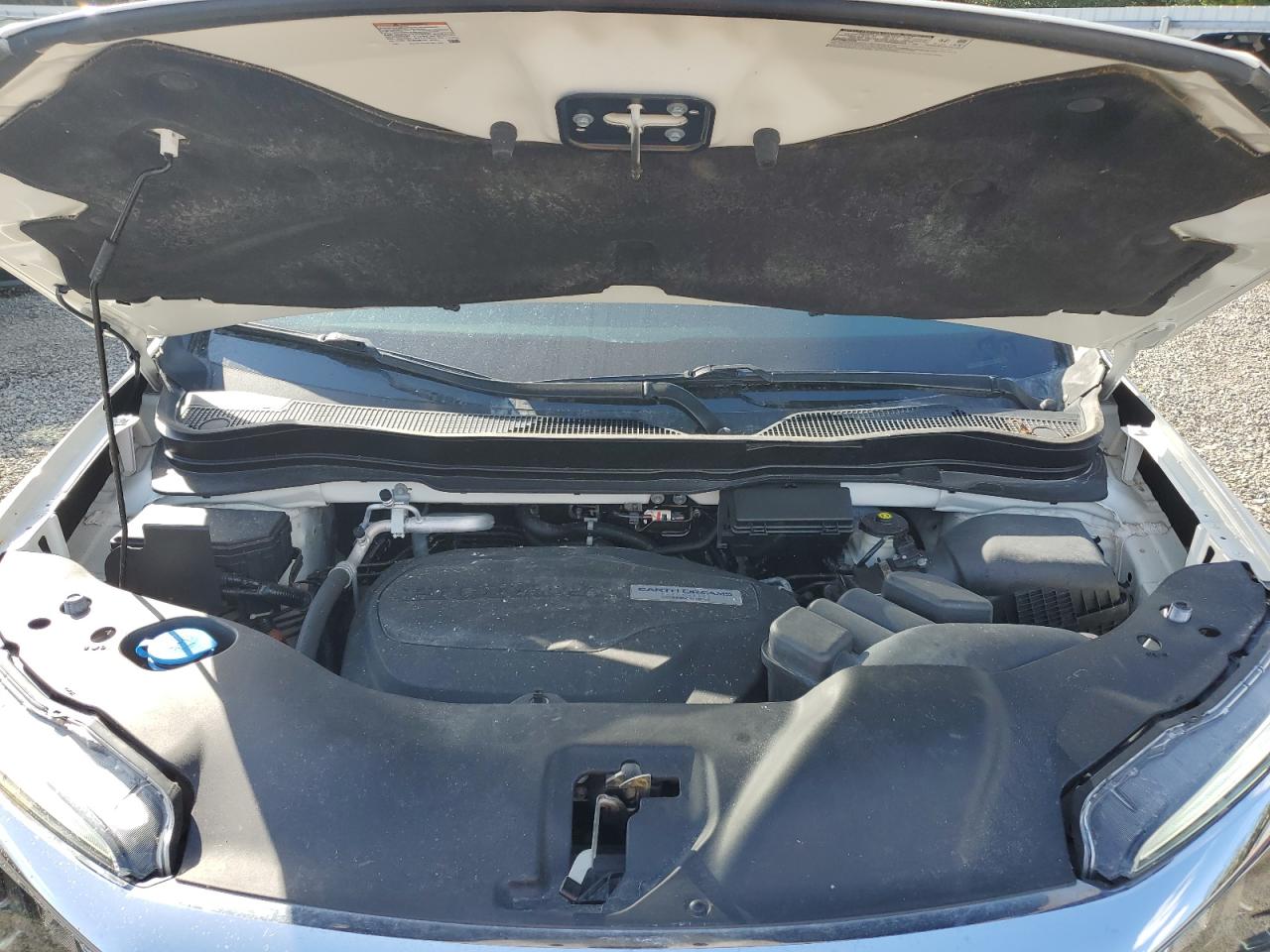 2019 Honda Pilot VIN 5FNYF6H52KB055333 Copart auction photo, water/flood / minor dent/scratches damage thumbnail 12