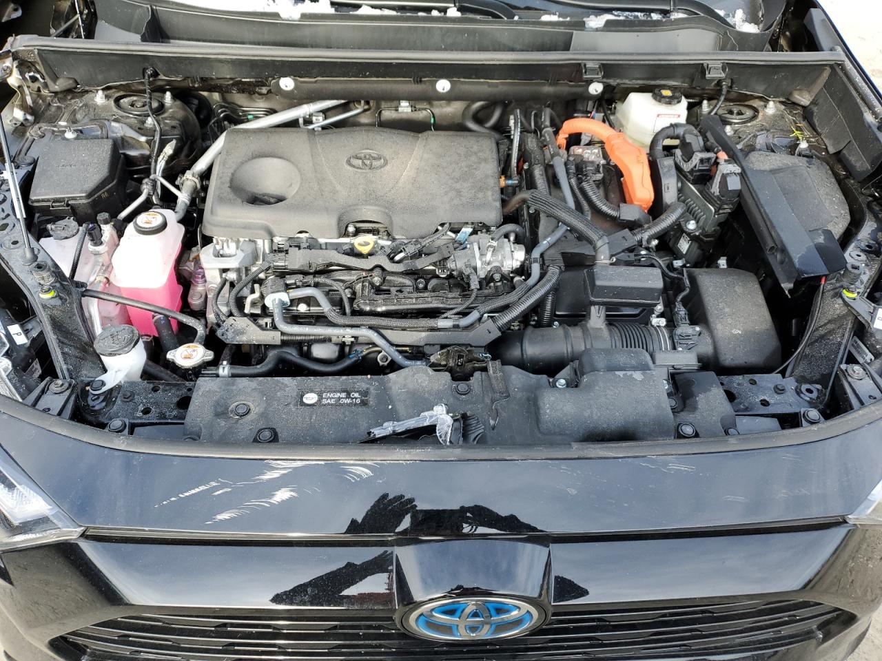 2024 Toyota RAV 4 VIN 2T3T6RFVXRW078751 Copart auction photo, rollover damage thumbnail 12