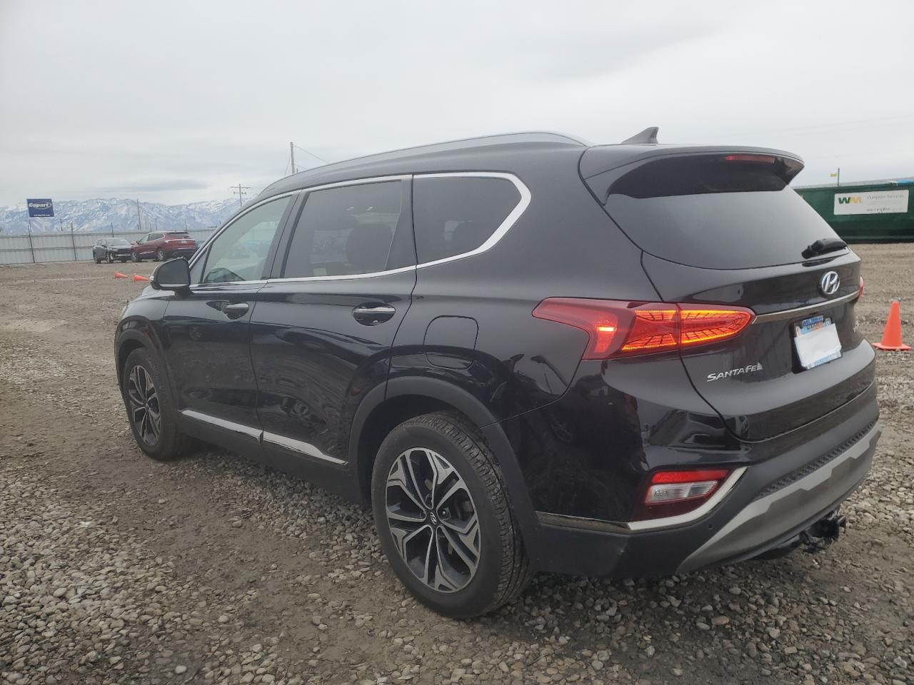 2020 Hyundai Santa Fe VIN 5NMS5CAA8LH304586 Copart auction photo, side damage thumbnail 2
