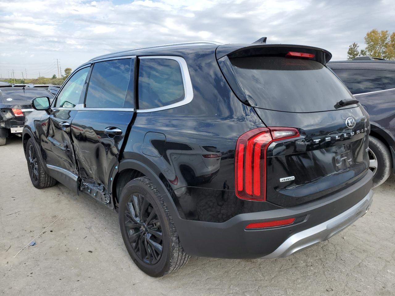 2020 KIA Telluride VIN 5XYP5DHC4LG059685 Copart auction photo, side damage thumbnail 2