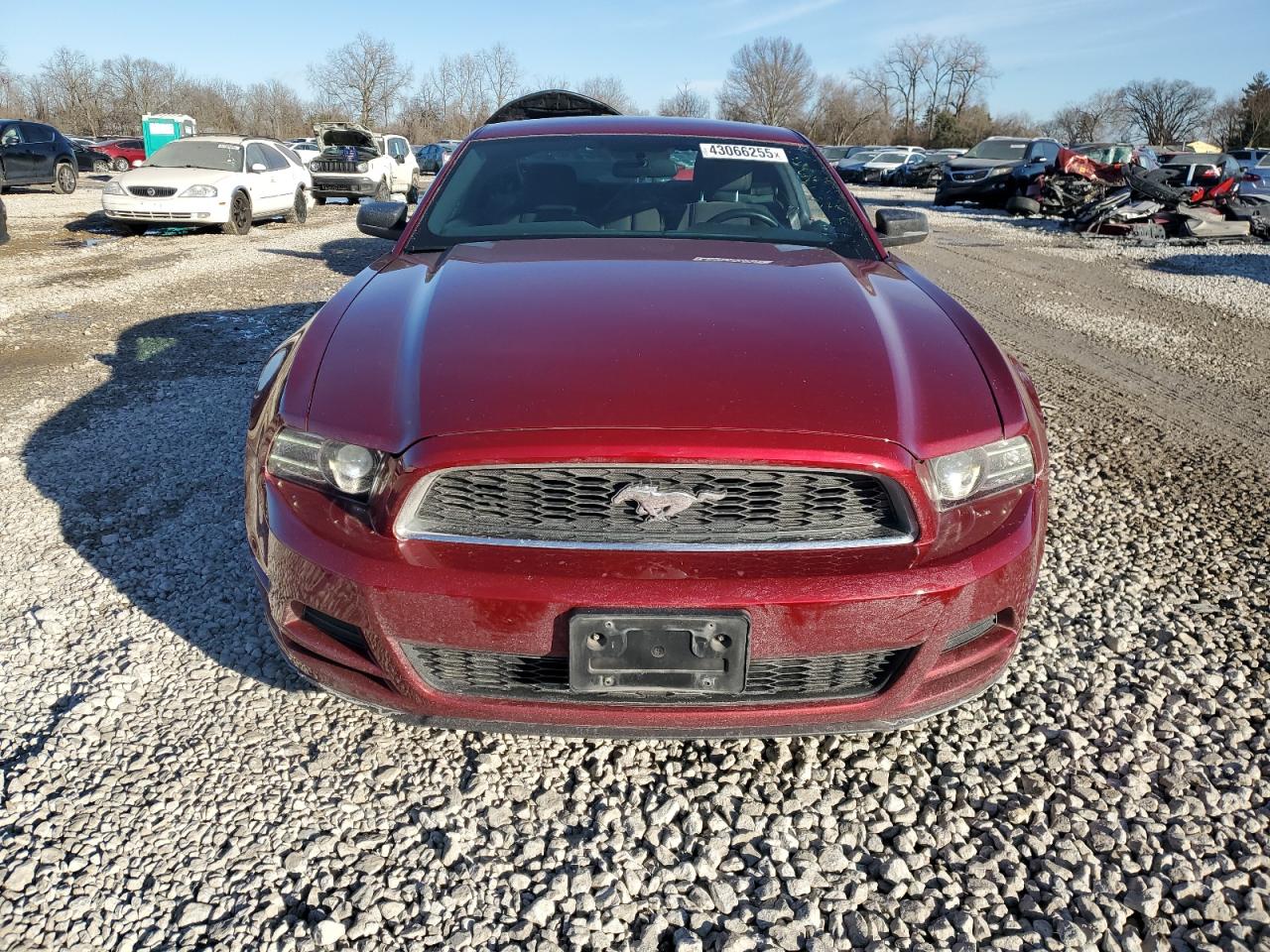 2014 Ford Mustang VIN 1ZVBP8AM7E5319973 Copart auction photo, side damage thumbnail 5