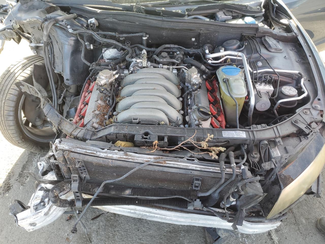 2010 Audi RS5 VIN WAUVVAFR8AA083219 Copart auction photo, front end damage thumbnail 11