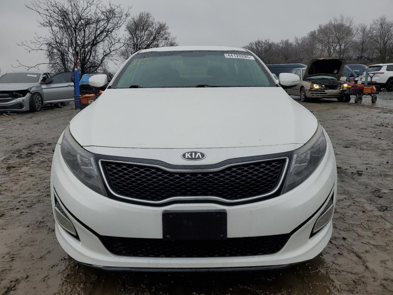 2015 KIA Optima VIN 5XXGM4A78FG507290 Copart auction photo, side / rear end damage thumbnail 5