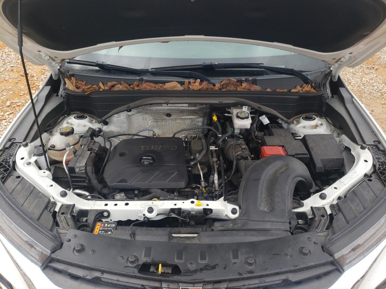 2022 Chevrolet TrailBlazer VIN KL79MPSL6NB048185 Copart auction photo, side damage thumbnail 13