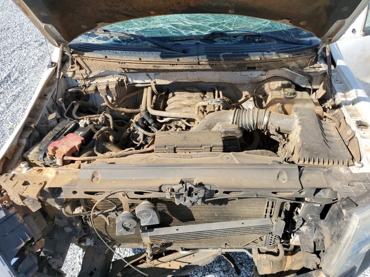 2013 Ford F-150 VIN 1FTNF1CF6DKE09415 Copart auction photo, all over damage thumbnail 11
