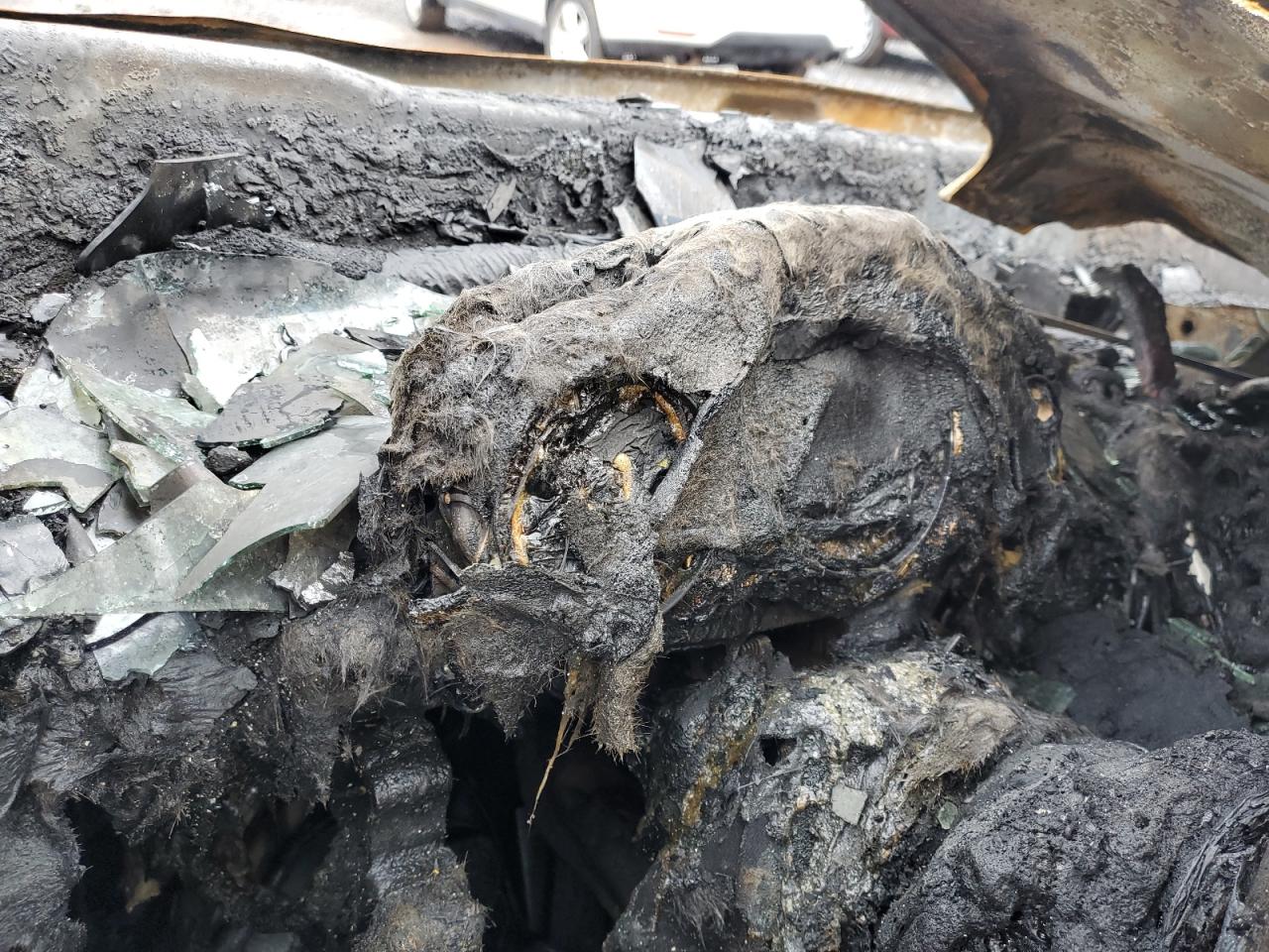 2010 Mercedes-Benz GLK-klasse VIN WDCGG8HB5AF398233 Copart auction photo, burn - interior damage thumbnail 9