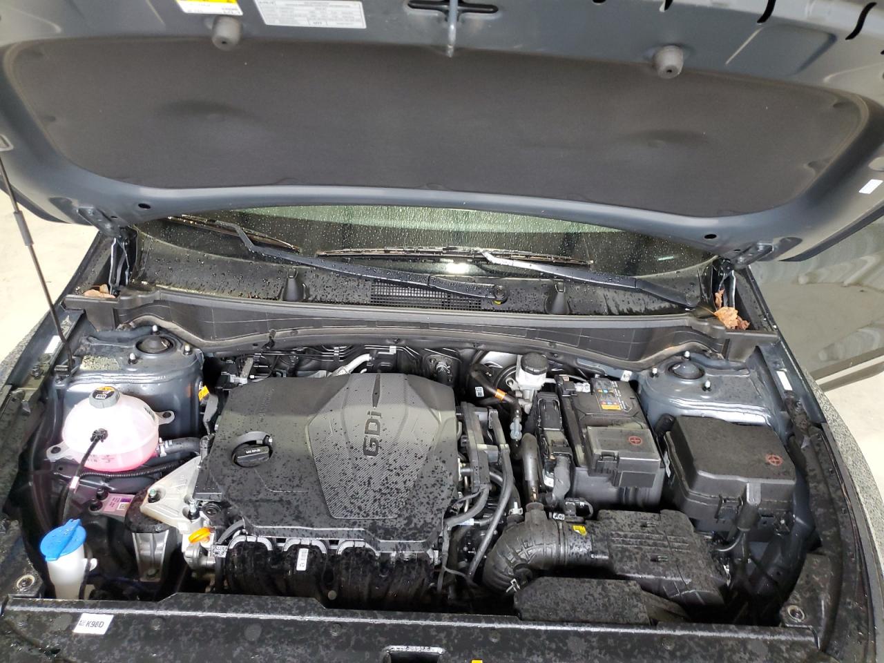 2024 KIA Sportage VIN KNDPUCDF9R7272778 Copart auction photo, side / rear end damage thumbnail 14