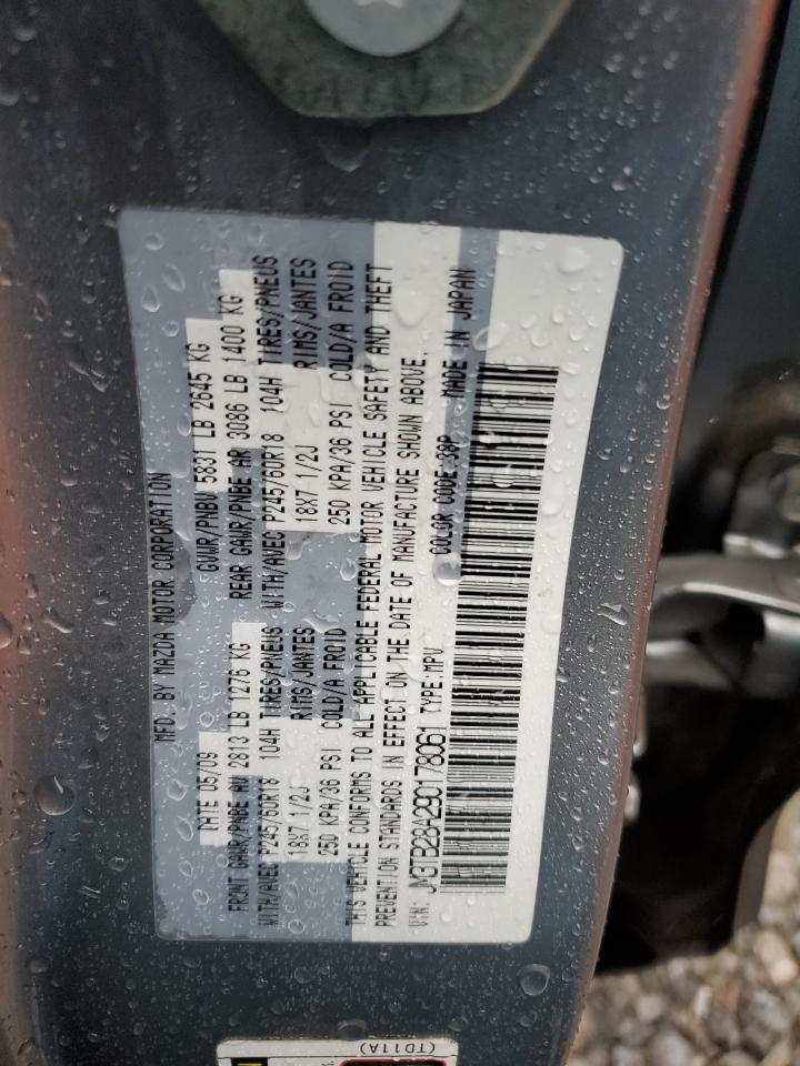 2009 Mazda CX-9 VIN JM3TB28A290178061 Copart auction photo, rear end damage thumbnail 14