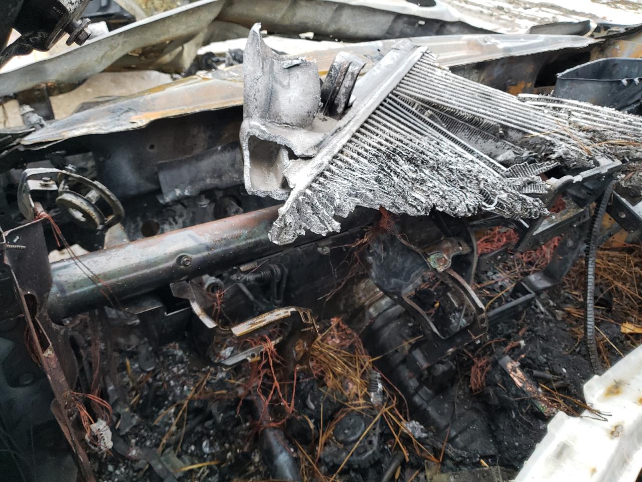 2010 Dodge RAM VIN 3D7UT2CL8AG130315 Copart auction photo, burn damage thumbnail 9
