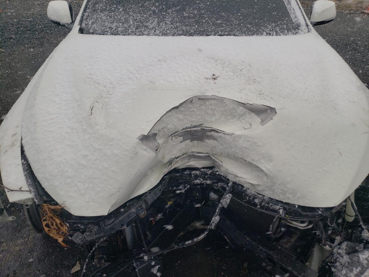 2014 Infiniti Q50 VIN JN1BV7AR5EM684403 Copart auction photo, all over / undercarriage damage thumbnail 13