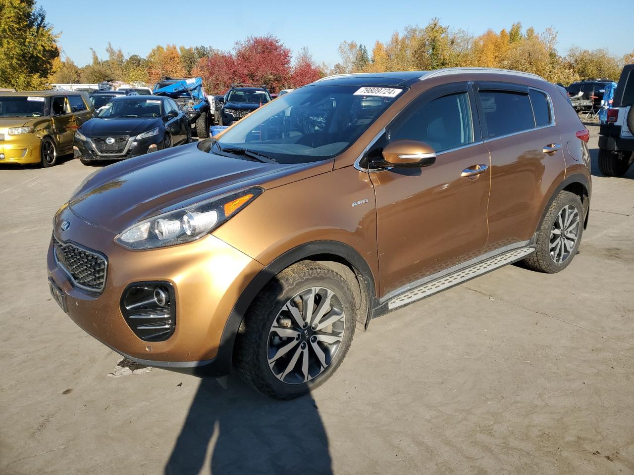 2017 KIA Sportage VIN KNDPNCAC6H7078778