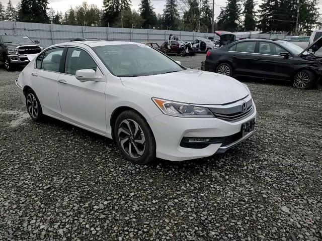 2016 Honda Accord VIN 1HGCR2F82GA056796 Copart auction photo, rear end damage thumbnail 11