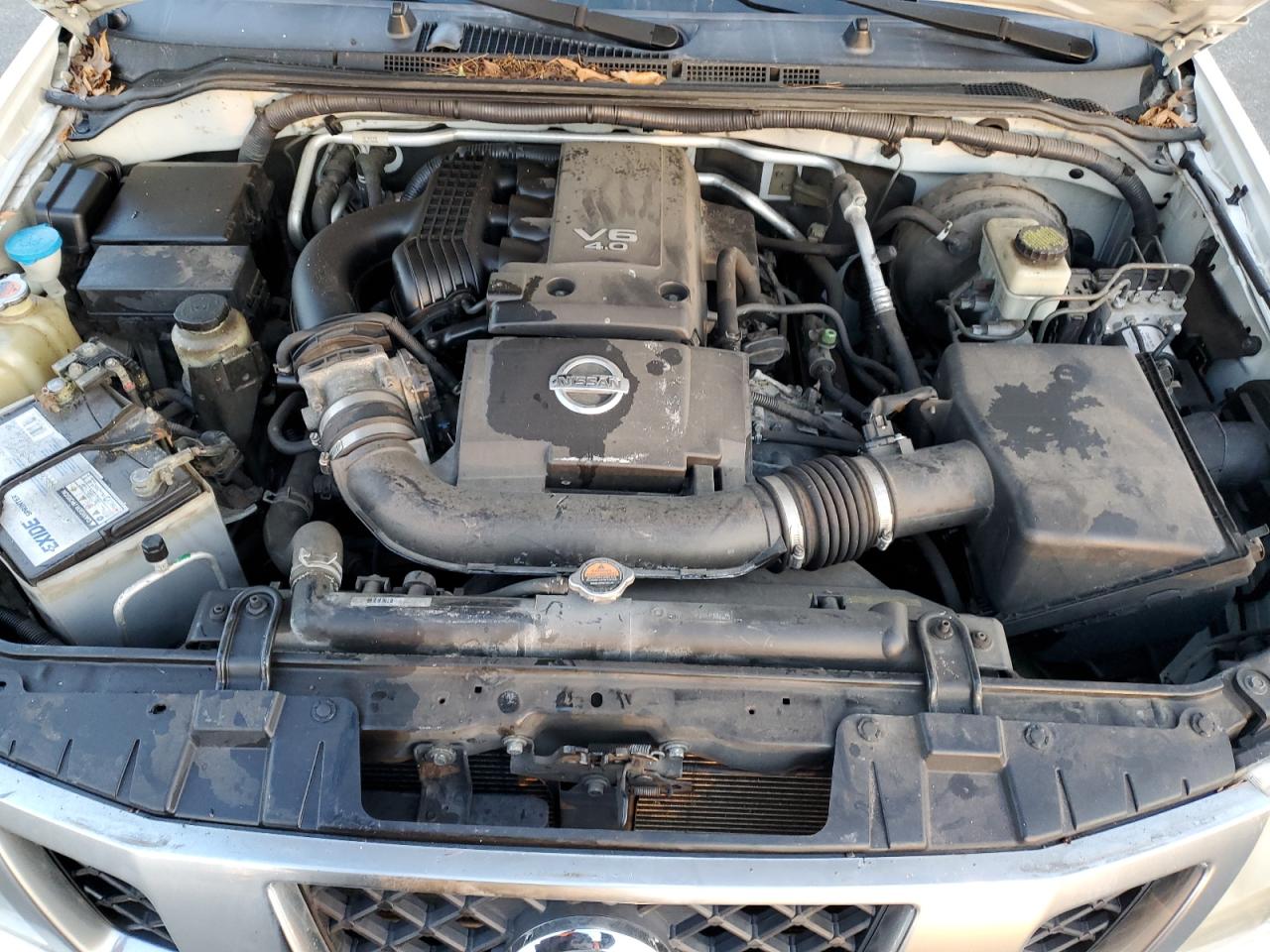 2015 Nissan Navara (Frontier) VIN 1N6AD0EV7FN728470 Copart auction photo, rollover / minor dent/scratches damage thumbnail 11