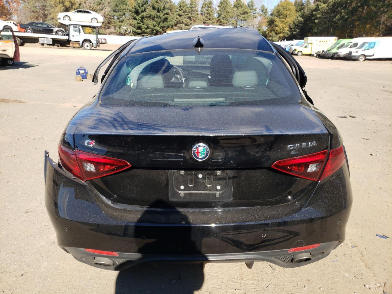2019 Alfa Romeo Giulia VIN ZARFANBNXK7605785 Copart auction photo, side / rear end damage thumbnail 6