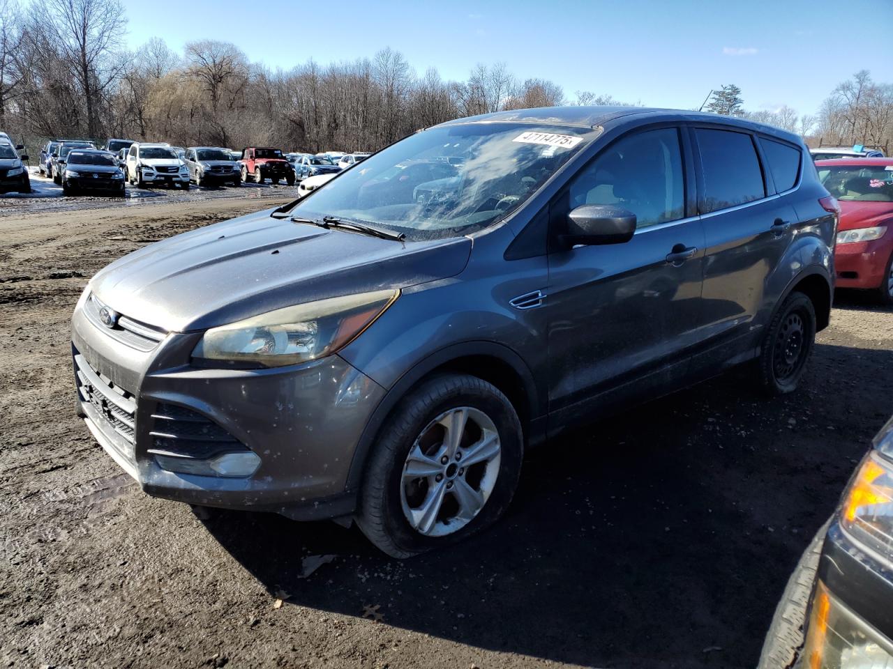 2014 Ford Escape VIN 1FMCU9G99EUC23613