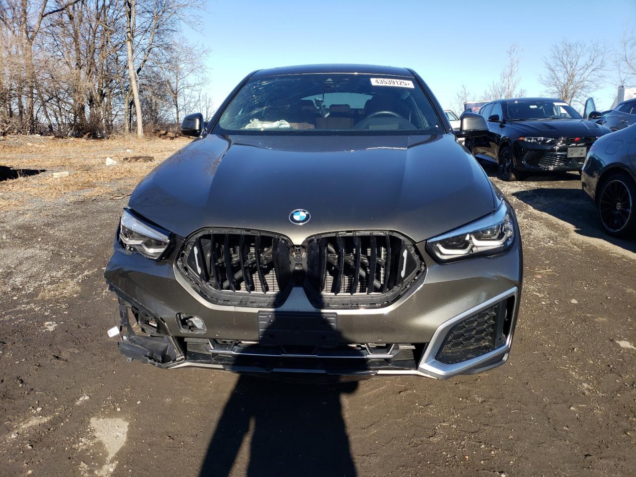 2022 BMW X6 VIN 5UXCY6C0XN9L19573 Copart auction photo, front end damage thumbnail 5
