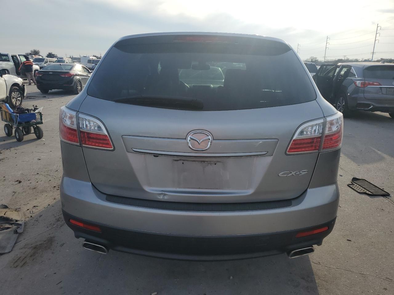 2010 Mazda CX-9 VIN JM3TB2MA2A0216270 Copart auction photo, side damage thumbnail 6