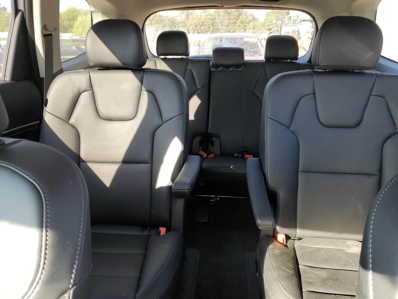 2024 KIA Telluride VIN 5XYP6DGC7RG556771 Copart auction photo, front end damage thumbnail 10