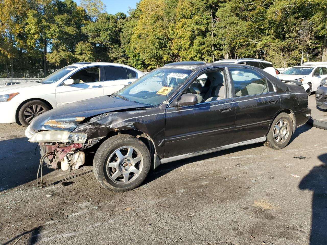 1997 Honda Accord VIN 1HGCD5603VA057494