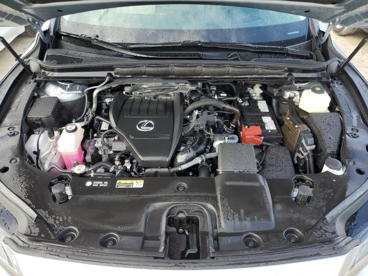 2024 Lexus RX VIN 2T2BAMCA5RC058993 Copart auction photo, water/flood damage thumbnail 12