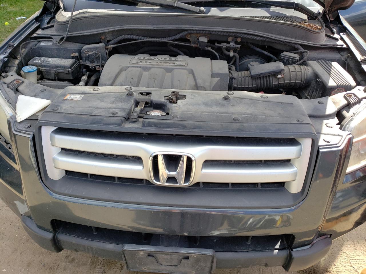 2006 Honda Pilot VIN 5FNYF18456B016560 Copart auction photo, rear end / front end damage thumbnail 12