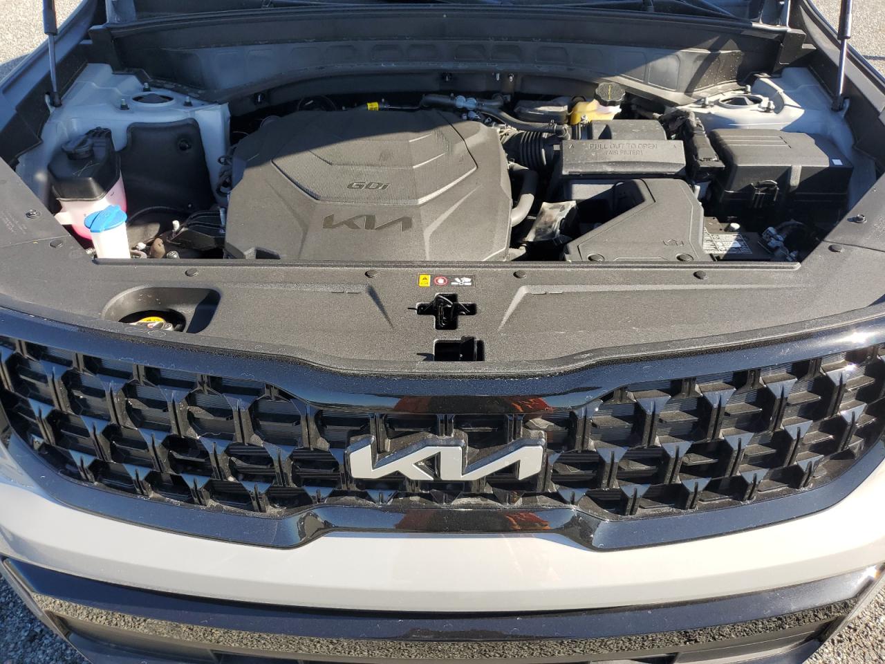 2024 KIA Telluride VIN 5XYP3DGC8RG555833 Copart auction photo, water/flood damage thumbnail 12