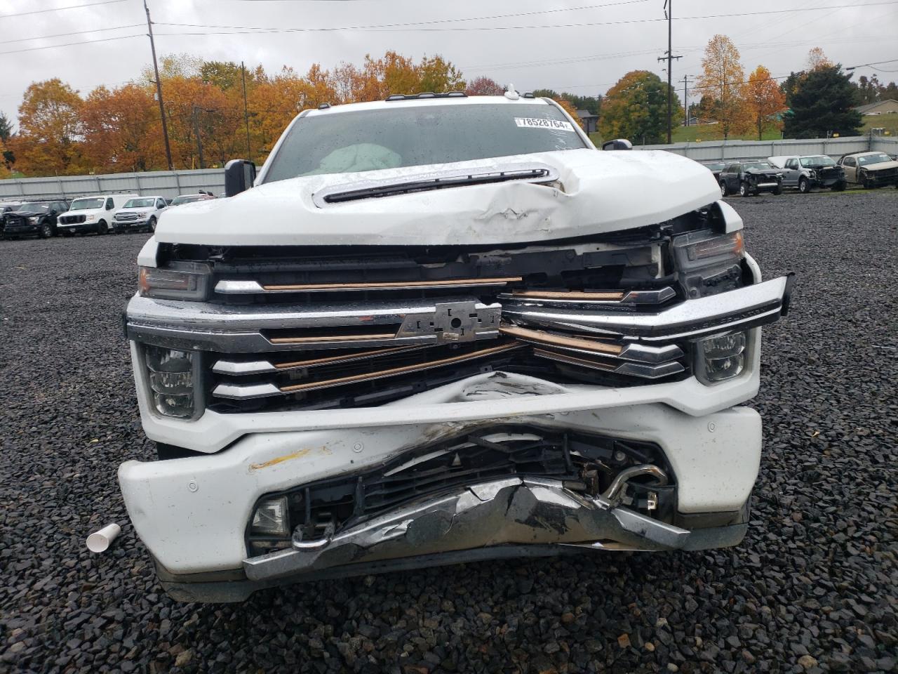 2021 Chevrolet Silverado VIN 1GC4YVEY5MF100197 Copart auction photo, front end / rear end damage thumbnail 5