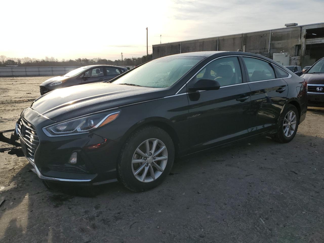 2019 Hyundai Sonata VIN 5NPE24AF8KH731016