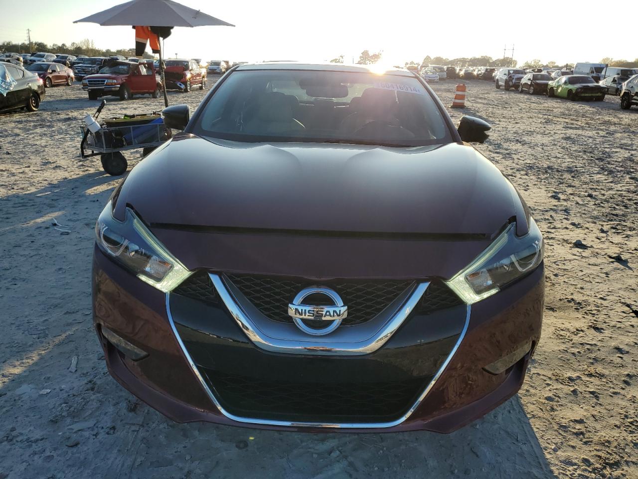 2016 Nissan Maxima VIN 1N4AA6AP3GC431530 Copart auction photo, side / rear end damage thumbnail 5