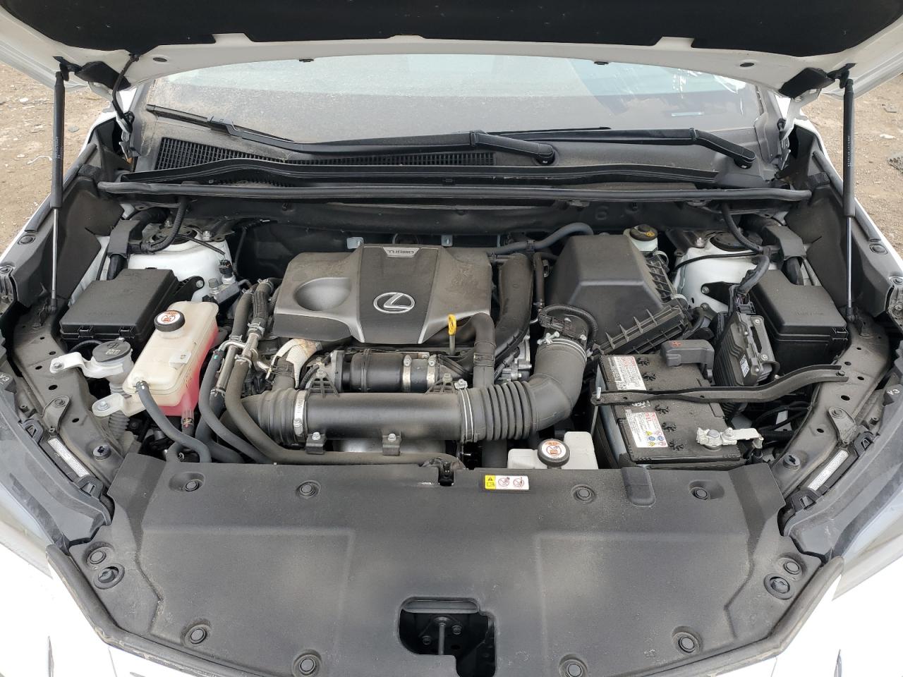 2019 Lexus NX VIN JTJBARBZ5K2216128 Copart auction photo, side damage thumbnail 13