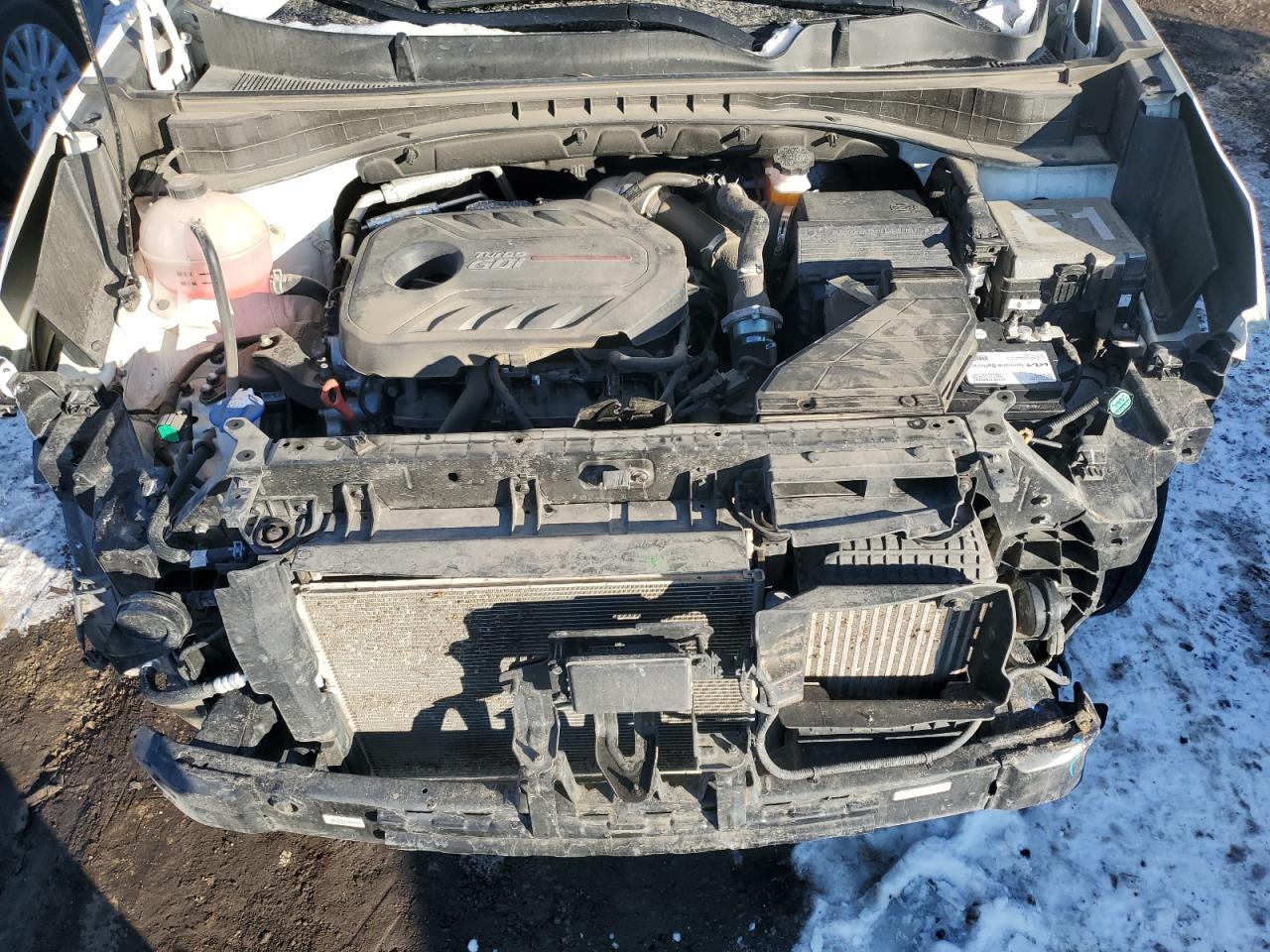 2021 KIA Sportage VIN KNDPRCA60M7893759 Copart auction photo, front end / rear end damage thumbnail 12