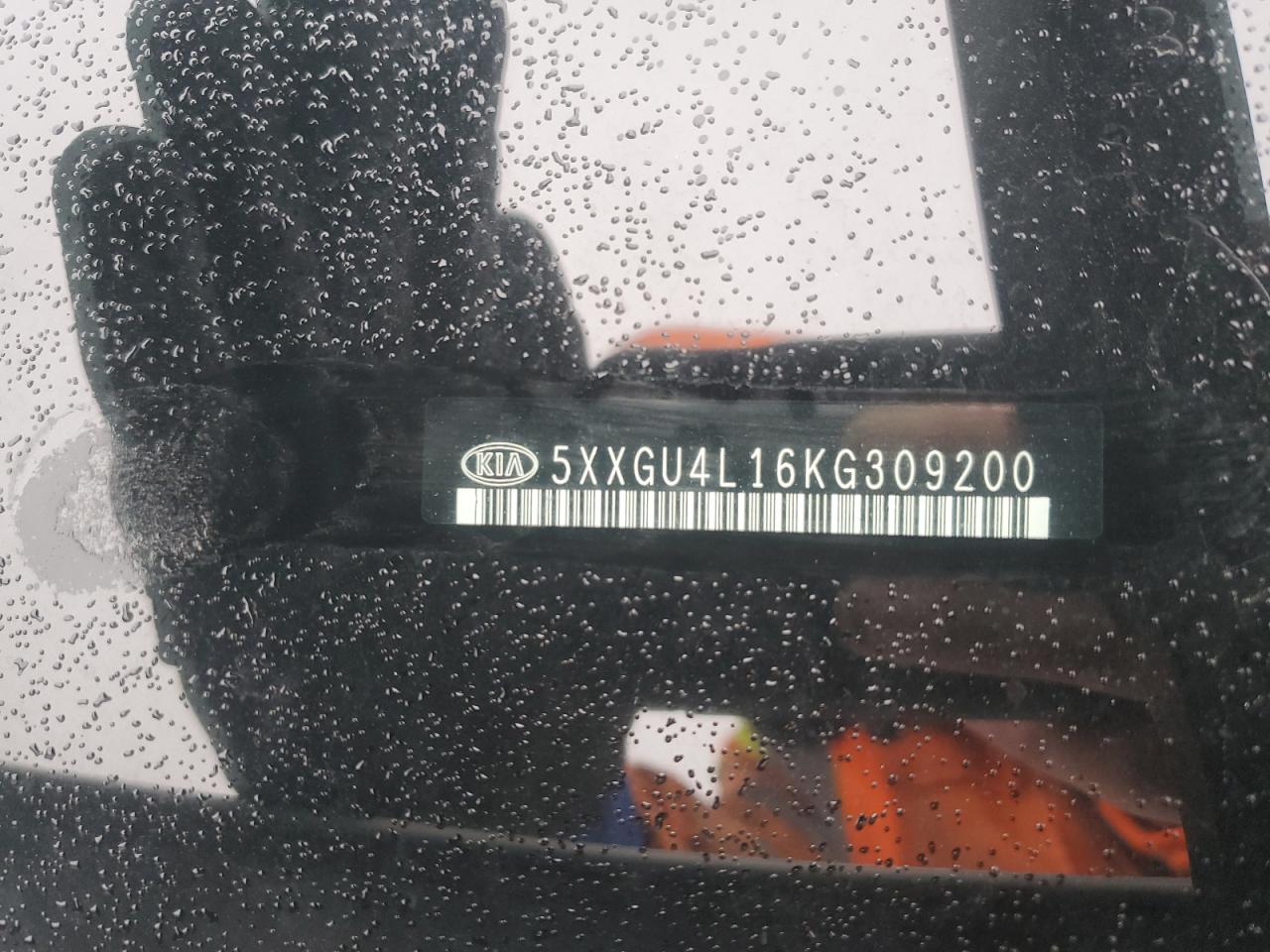 2019 KIA Optima VIN 5XXGU4L16KG309200 Copart auction photo, front end damage thumbnail 14