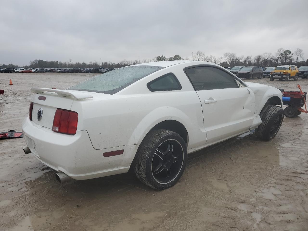 2006 Ford Mustang VIN 1ZVHT82H365111324 Copart auction photo, side damage thumbnail 3