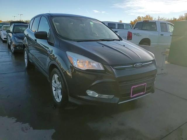 2014 Ford Escape VIN 1FMCU9GX2EUD10798 Copart auction photo, hail damage thumbnail 14