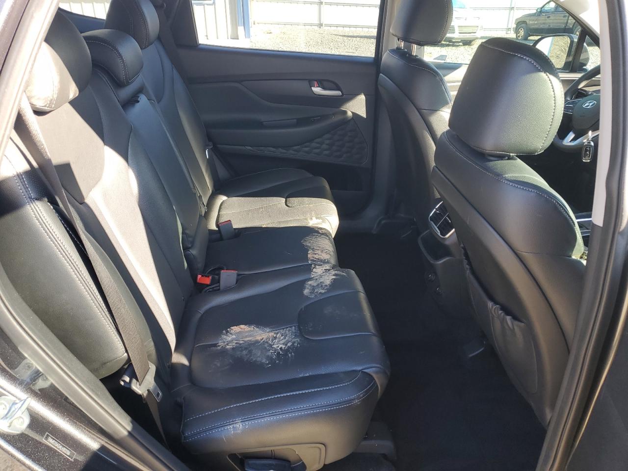 2020 Hyundai Santa Fe VIN 5NMS33AD4LH202136 Copart auction photo, all over damage thumbnail 10