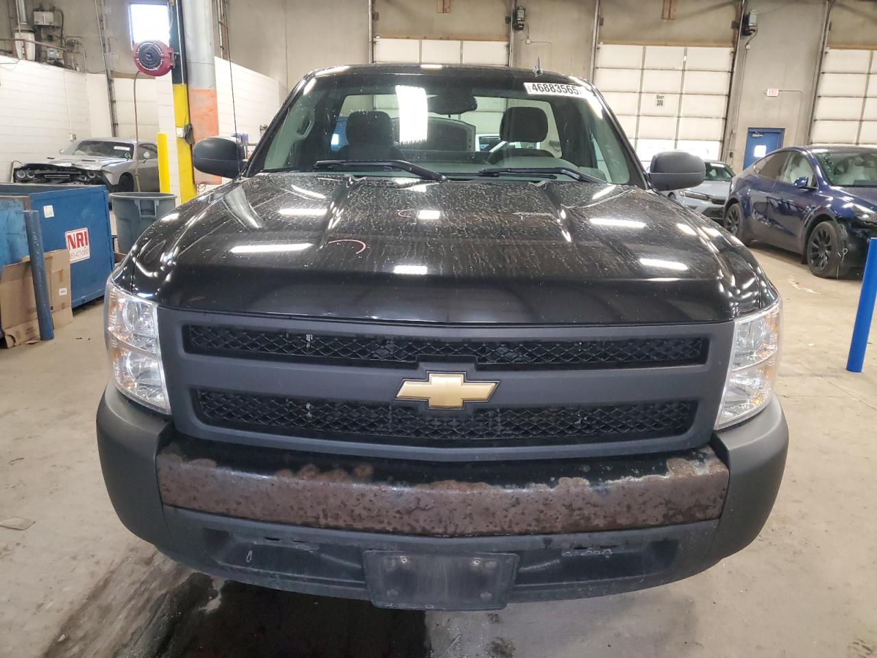 2008 Chevrolet Silverado VIN 1GCEC14X78Z196522 Copart auction photo, rear end damage thumbnail 5