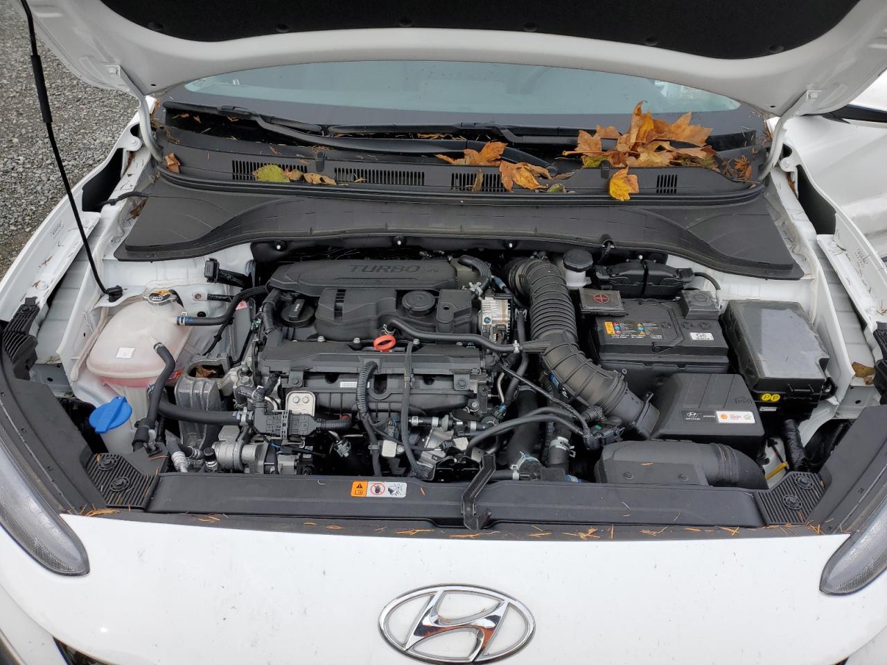 2022 Hyundai Kona VIN KM8K5CA3XNU851805 Copart auction photo, side damage thumbnail 12