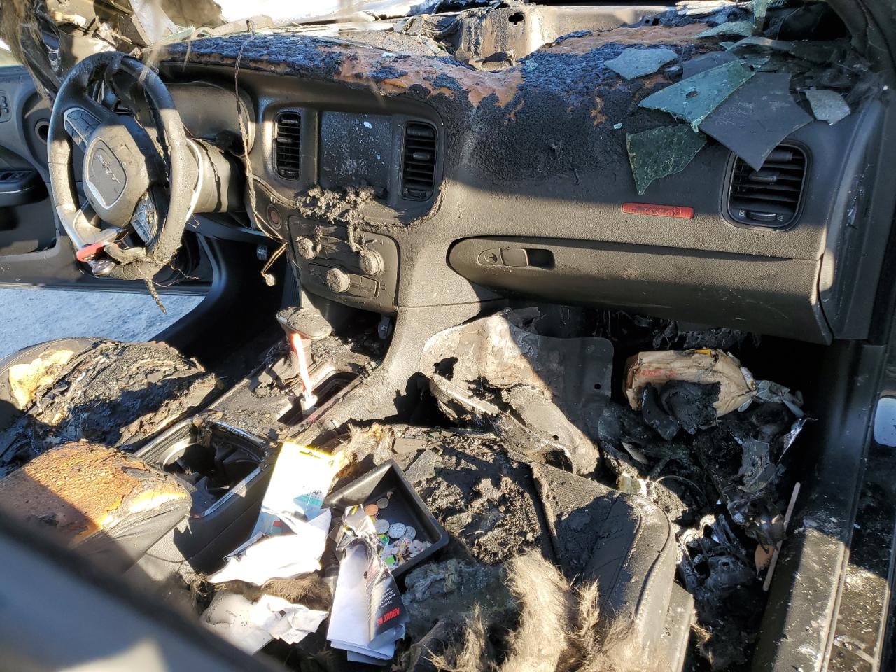 2018 Dodge Charger VIN 2C3CDXL90JH341565 Copart auction photo, burn damage thumbnail 8