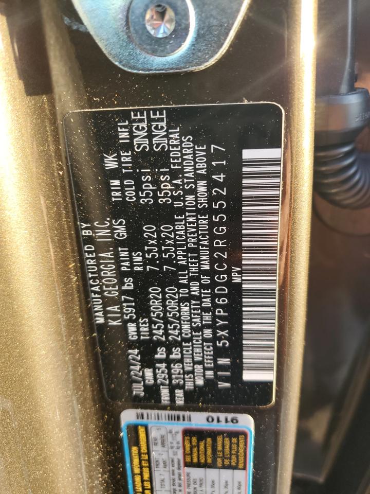 2024 KIA Telluride VIN 5XYP6DGC2RG552417 Copart auction photo, side damage thumbnail 14