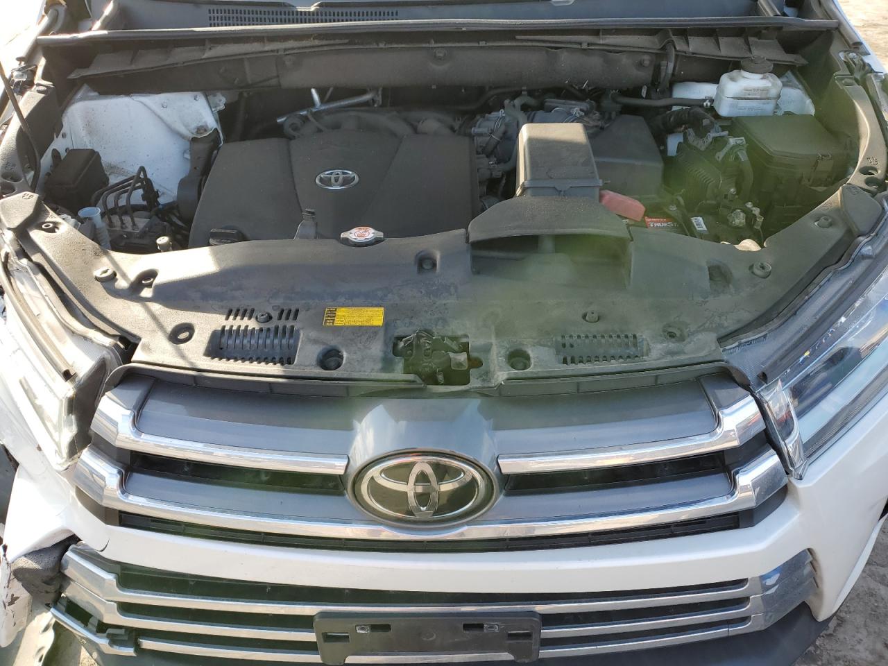 2019 Toyota Highlander VIN 5TDDZRFH0KS976529 Copart auction photo, rear end / hail damage thumbnail 13