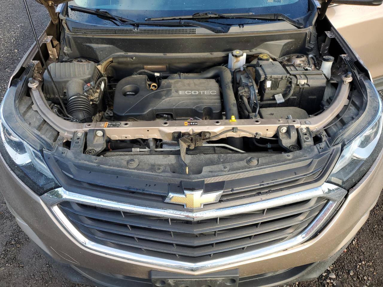 2018 Chevrolet Equinox VIN 2GNAXJEV2J6250401 Copart auction photo, rear end damage thumbnail 12