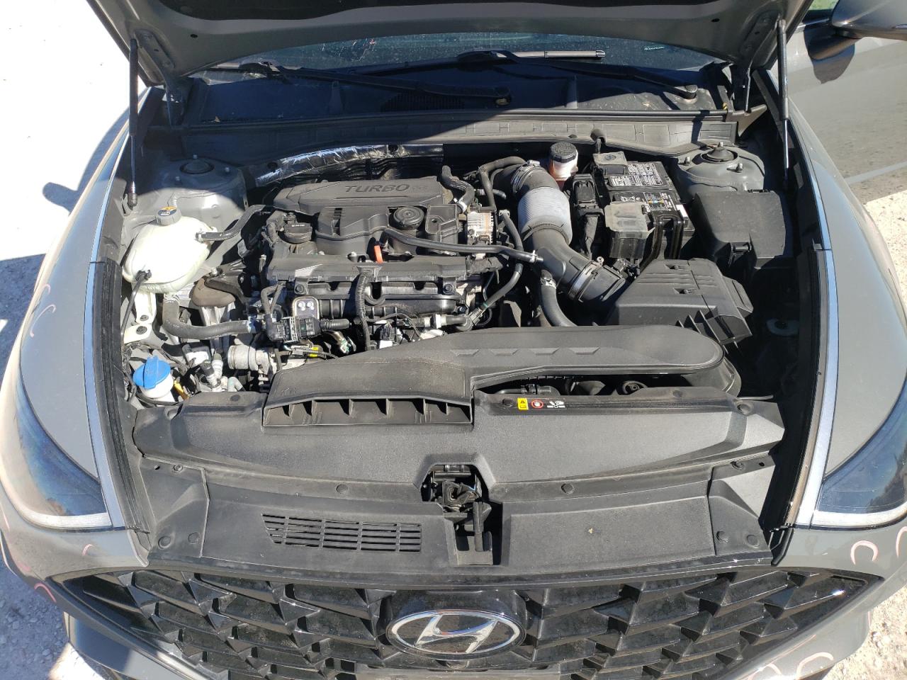 2021 Hyundai Sonata VIN 5NPEH4J29MH081160 Copart auction photo, rear end / side damage thumbnail 12