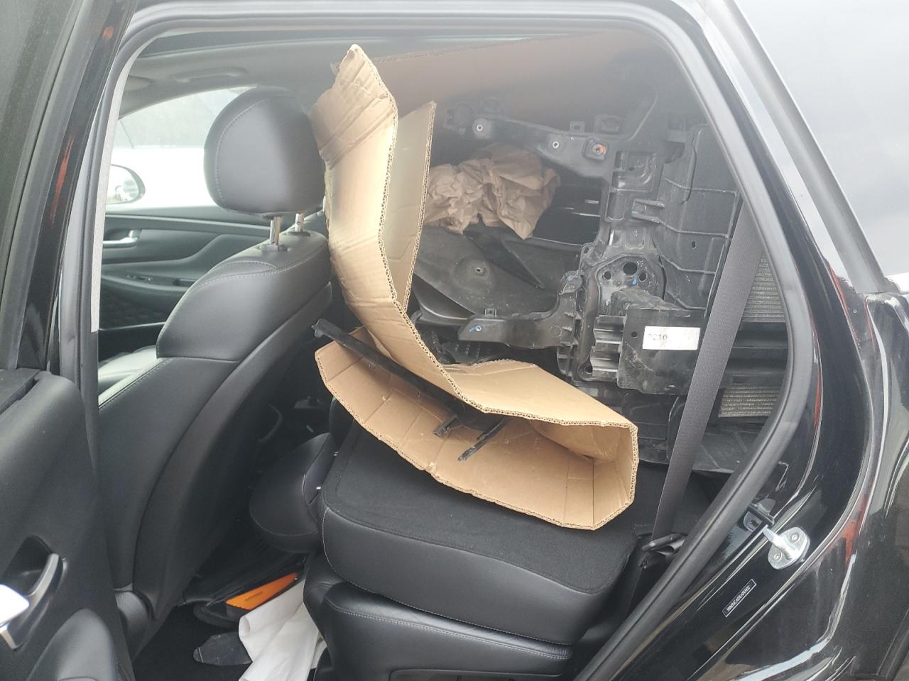 2020 Hyundai Santa Fe VIN 5NMS3CAD1LH243422 Copart auction photo, front end / minor dent/scratches damage thumbnail 13