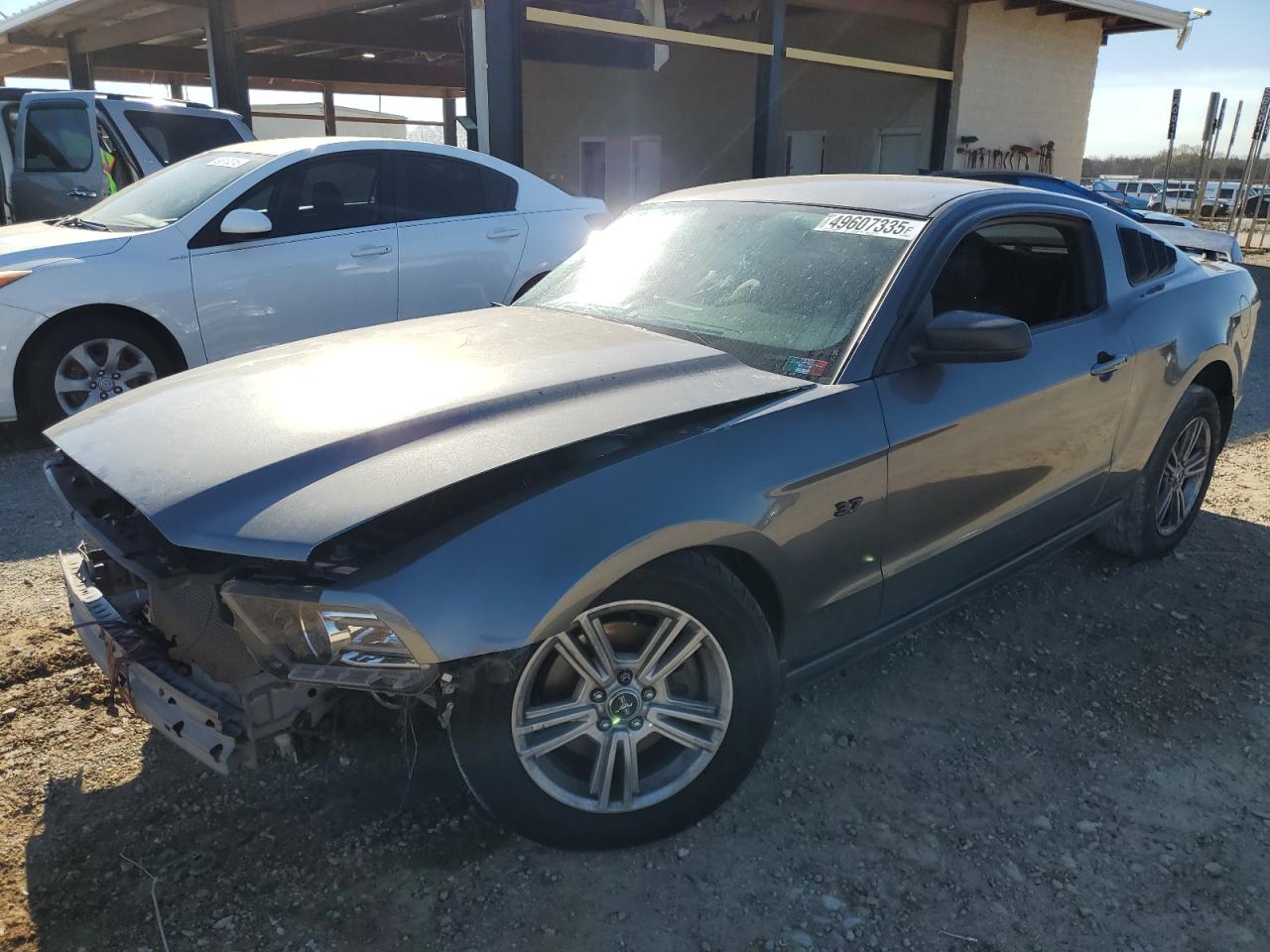 2014 Ford Mustang VIN 1ZVBP8AM1E5258846 - Copart auction photo